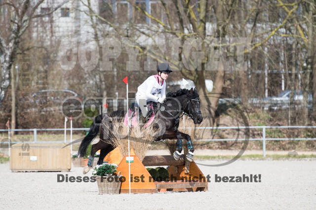 Eventing Langenfeld 2018