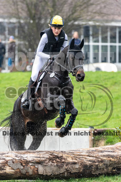 Goldene Schärpe 2020 - Pferde