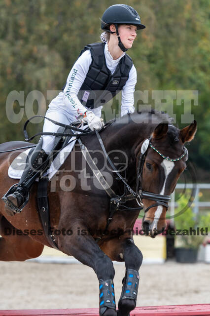 Goldene Schärpe 2020 - Pferde