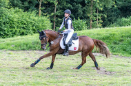 Goldene Schärpe 2021 - Ponys