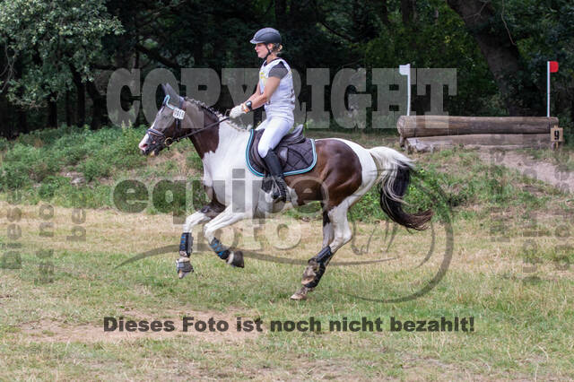 Late-Entry Vielseitigkeit Hamminkeln/Wesel (01.+02.08.2020)