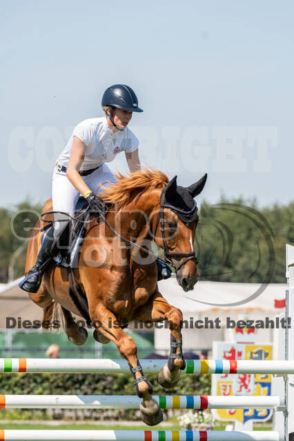 Kronenberg - De Peelbergen (August 2020)