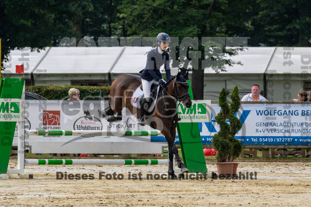 Goldene Schärpe 2021 - Ponys