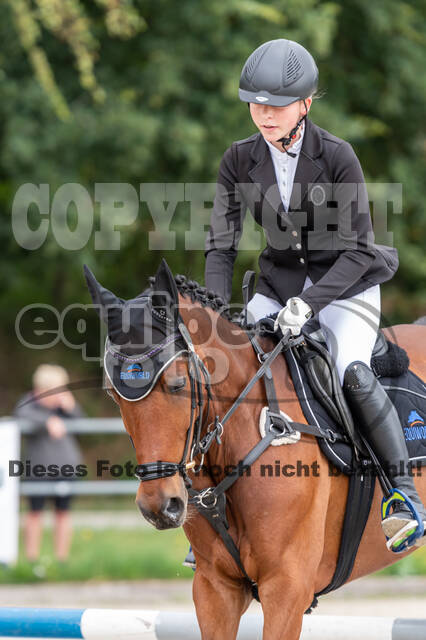 Late-Entry-Vielseitigkeit Langenfeld (06.+07.07.2020)