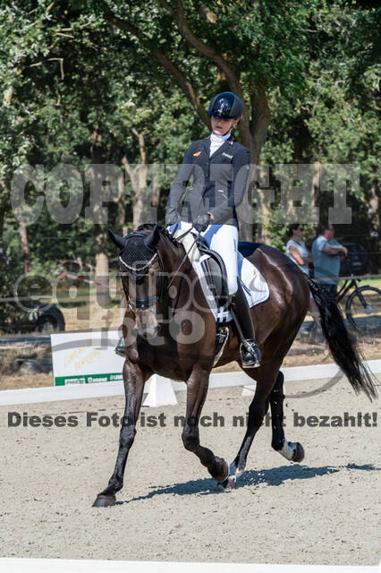 Kronenberg - De Peelbergen (August 2020)