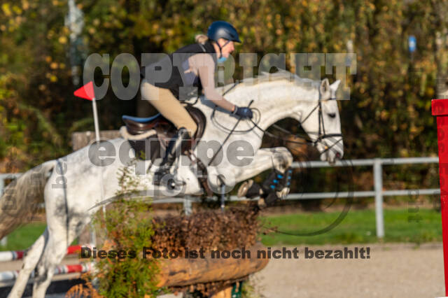 IGV Lehrgang der Sieger der Cups mit Frank Ostholt