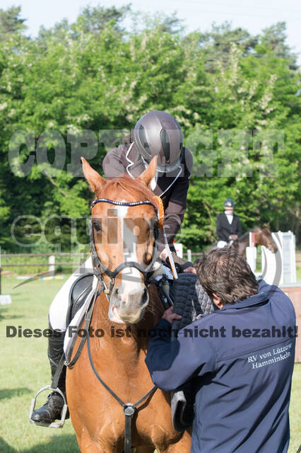 Vielseitigkeitsturnier ZRuFV von Lützow Hamminkeln