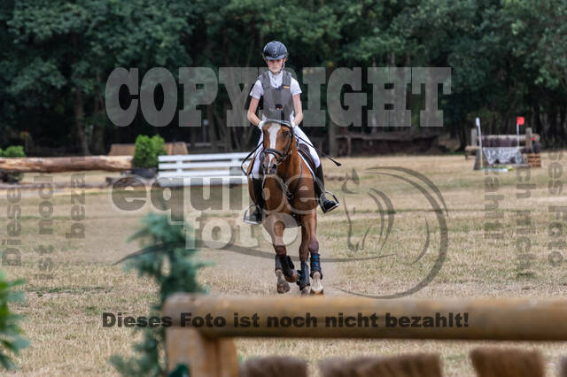 Late-Entry Vielseitigkeit Hamminkeln/Wesel (01.+02.08.2020)