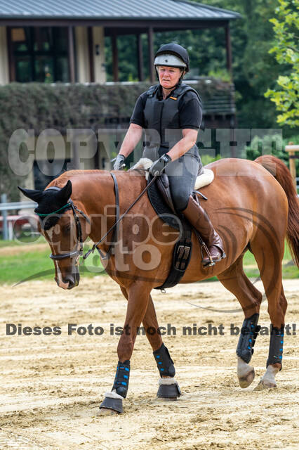 Hunter Geländetraining 10.07.2021 (Sonsbeck)
