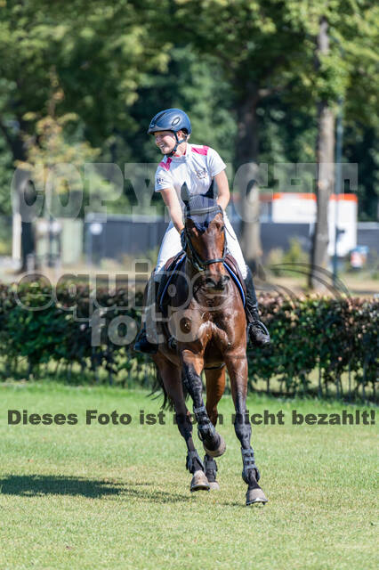 Kronenberg - De Peelbergen (August 2020)