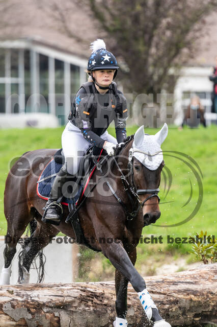 Goldene Schärpe 2020 - Pferde