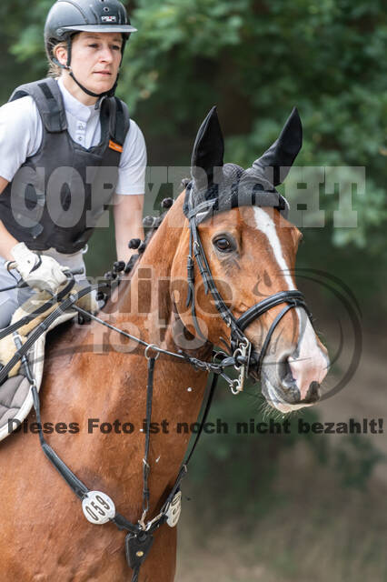 Late-Entry-Vielseitigkeit Langenfeld (11.+13./14.06.2020)