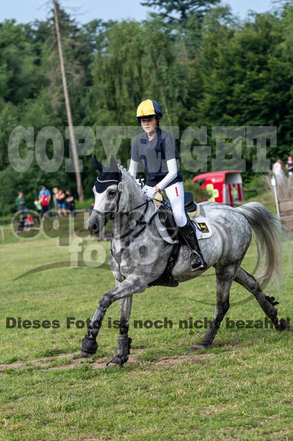 Goldene Schärpe 2021 - Ponys