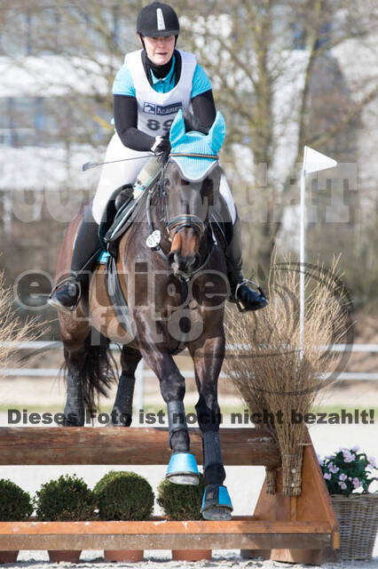 Eventing Langenfeld 2018