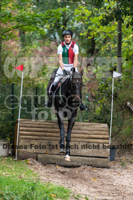 Goldene Schärpe 2020 - Pferde