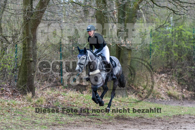Eventing im Pferdesportzentrum Rheinland (Late Entry 14.03.2022)