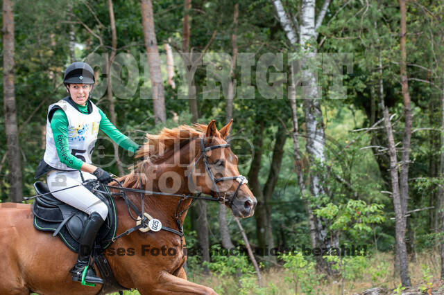 Late-Entry Vielseitigkeit Hamminkeln/Wesel (01.+02.08.2020)