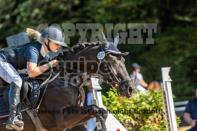 RFV Dinslaken-Hiesfeld (Herbstturnier)