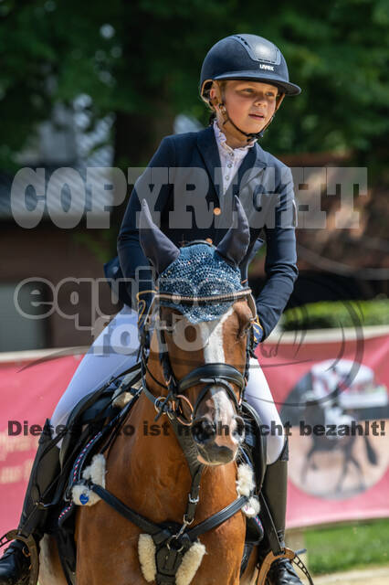 Goldene Schärpe 2021 - Ponys