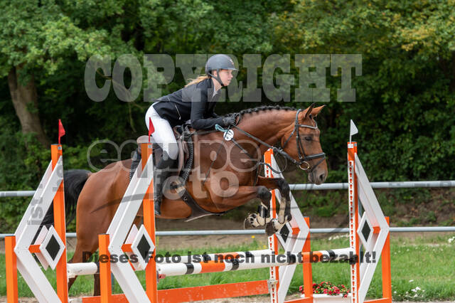 Late-Entry-Vielseitigkeit Langenfeld (06.+07.07.2020)