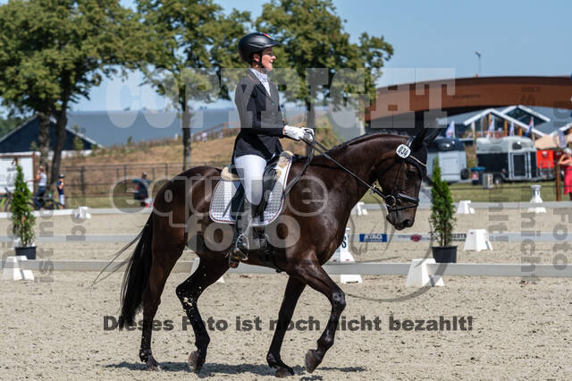 Kronenberg - De Peelbergen (August 2020)