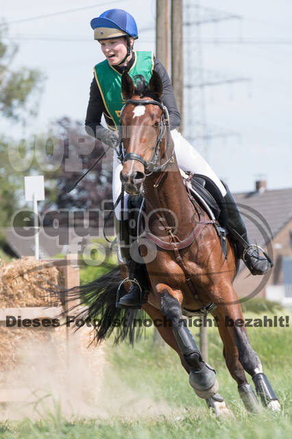 Vielseitigkeitsturnier ZRuFV von Lützow Hamminkeln