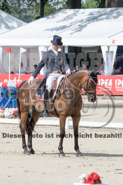 European Championship Eventing 2017