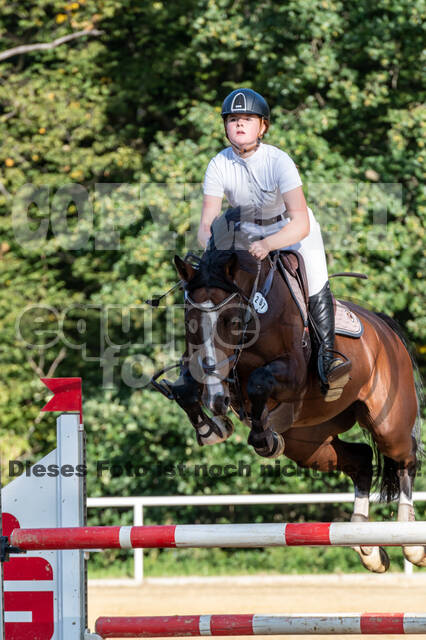 RFV Dinslaken-Hiesfeld (Herbstturnier)