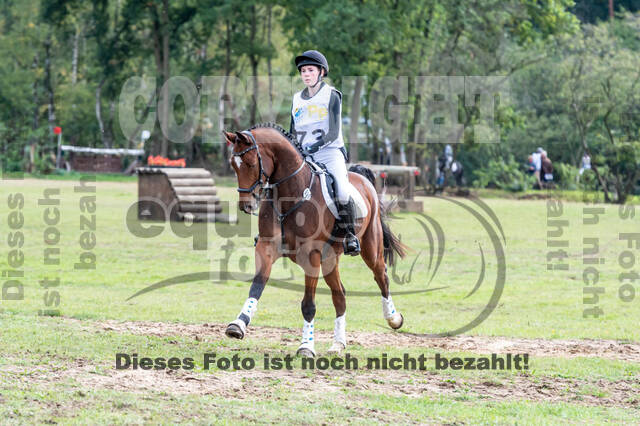 Vielseitigkeit RSV Wesel Obrighoven (26.+27.09.2020)