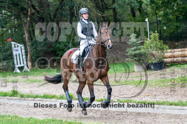 Goldene Schärpe 2020 - Pferde