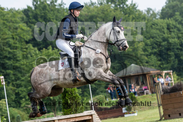 Goldene Schärpe 2021 - Ponys