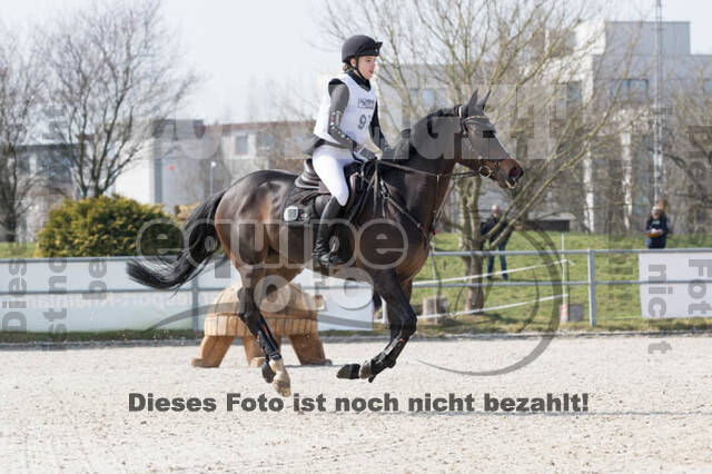 Eventing Langenfeld 2018