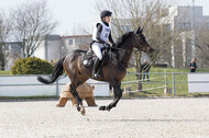 Eventing Langenfeld 2018