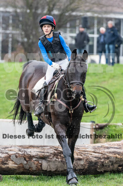 Goldene Schärpe 2020 - Pferde