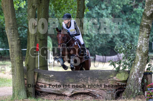 Late-Entry Vielseitigkeit Hamminkeln/Wesel (01.+02.08.2020)