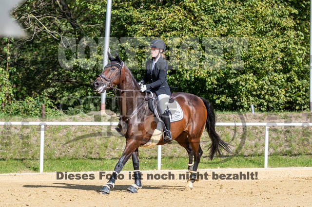 RFV Dinslaken-Hiesfeld (Herbstturnier)