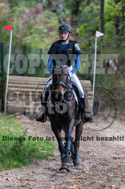 Goldene Schärpe 2020 - Pferde