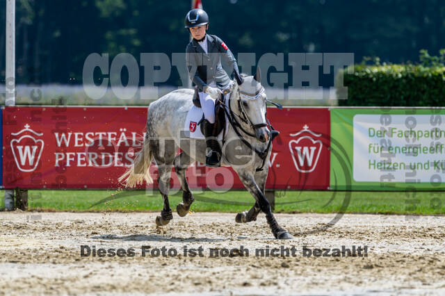 Goldene Schärpe 2021 - Ponys