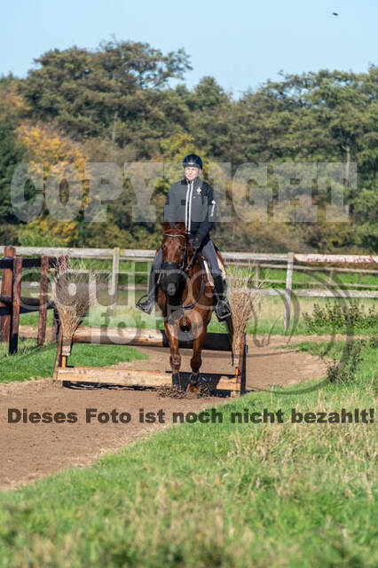 Vielseitigkeitslehrgang mit Jürg Kurbel (9.+10.11.2019)