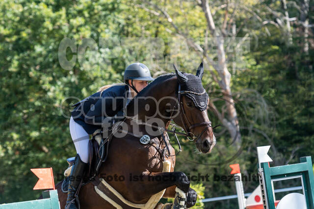 RFV Dinslaken-Hiesfeld (Herbstturnier)
