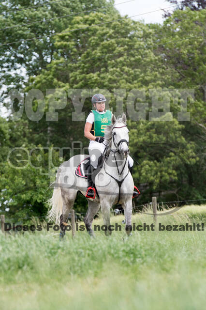 Vielseitigkeitsturnier ZRuFV von Lützow Hamminkeln
