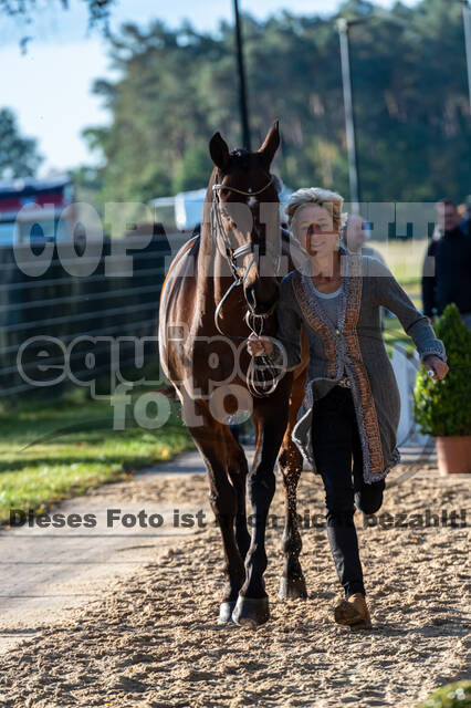 Deutsche Meisterschaft Vielseitigkeit (Luhmühlen)