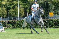 Kronenberg - De Peelbergen (August 2020)