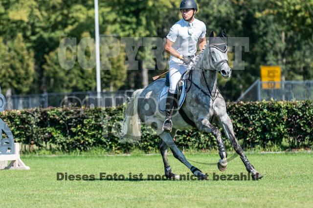 Kronenberg - De Peelbergen (August 2020)