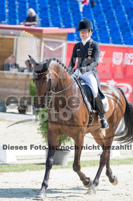FEI European Championship Eventing 2017
