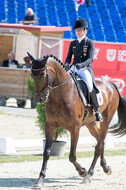 FEI European Championship Eventing 2017