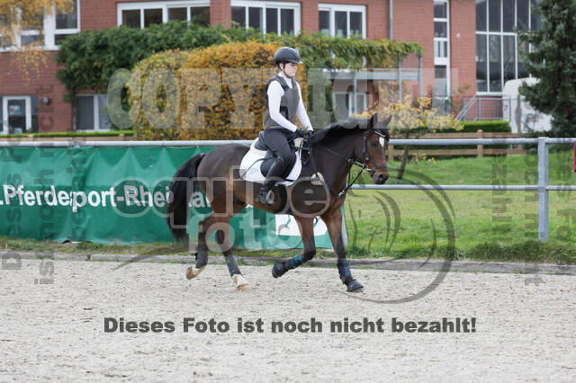 IGV Lehrgang der Sieger der Cups mit Frank Ostholt
