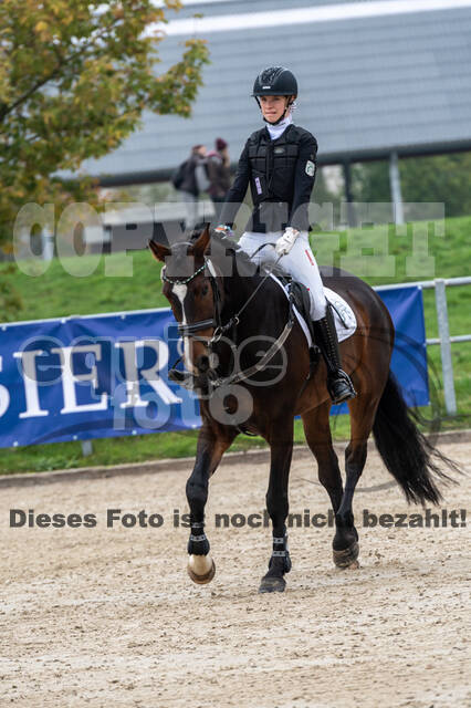 Goldene Schärpe 2020 - Pferde