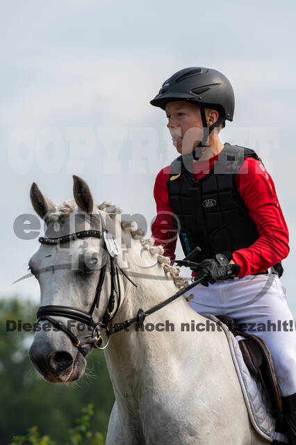 Goldene Schärpe 2021 - Ponys