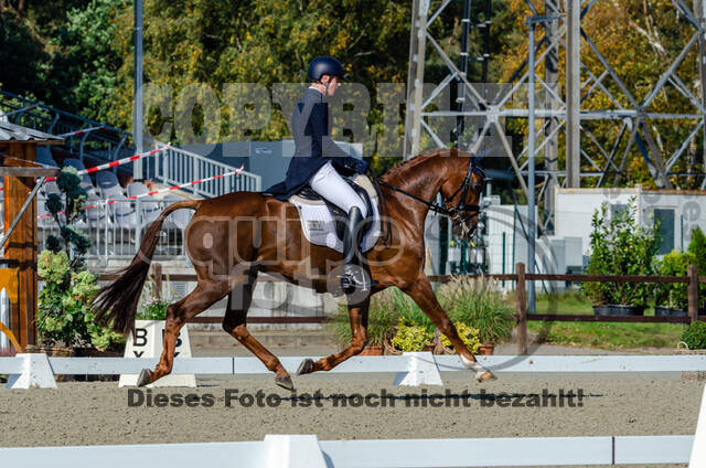 Deutsche Meisterschaft Vielseitigkeit (Luhmühlen)